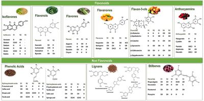 Use of Polyphenols as Modulators of Food Allergies. From Chemistry to Biological Implications